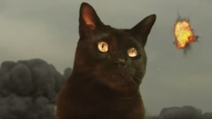 Brace yourself for Godzilla Vs. Kong Vs. A Cute Cat