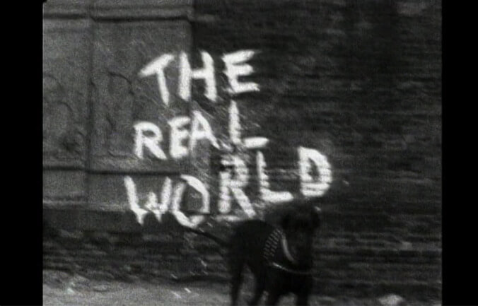 The Real World