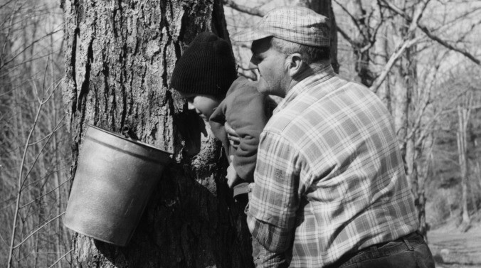 Canada’s heist of the century involved $18.7 million worth of maple syrup