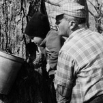 Canada’s heist of the century involved $18.7 million worth of maple syrup