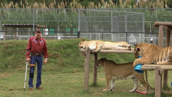 Assuming anyone still remembers him, NBC's Joe Exotic TV show is going straight to Peacock