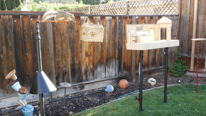 Mad scientist creates nine-part obstacle course to test the mettle of his backyard's squirrels