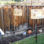 Mad scientist creates nine-part obstacle course to test the mettle of his backyard's squirrels