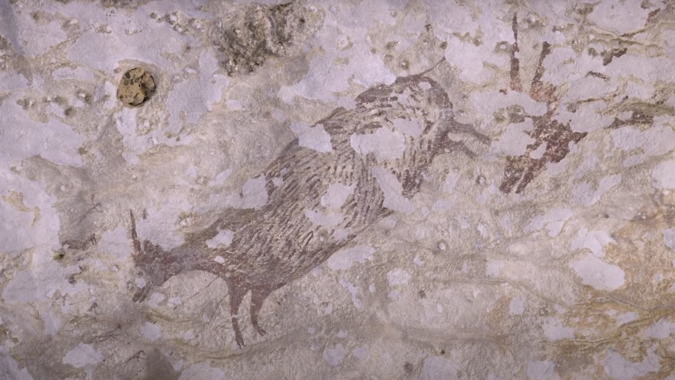 Next up on climate change's chopping block: cave art