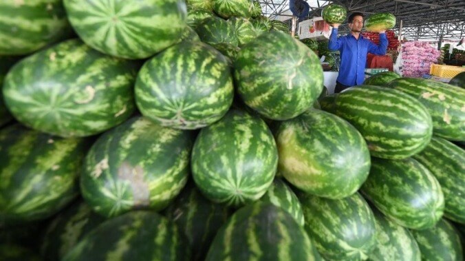 New York Times attempts to cover up its own reporting on Martian watermelons