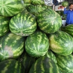 New York Times attempts to cover up its own reporting on Martian watermelons