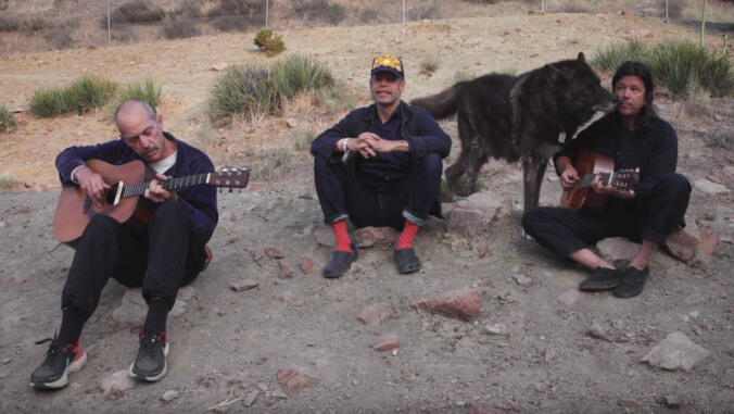 Matt Sweeney and Bonnie "Prince" Billy perform a Superwolves track for an audience of regular wolves