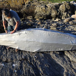 YouTuber sets sail on kayak made out of duct tape