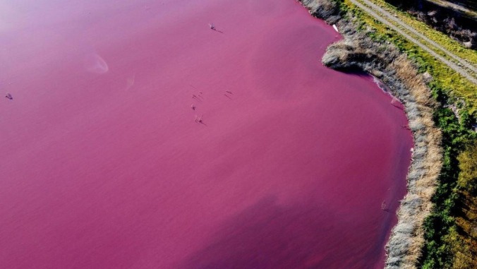 No, it's definitely not good that a lagoon in Patagonia has turned bright pink