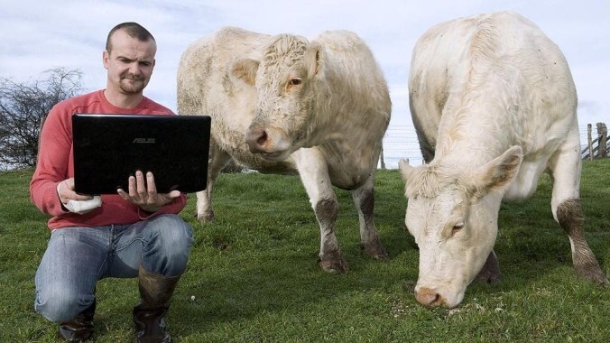 Japanese scientists have 3D printed a square of lab-grown wagyu beef