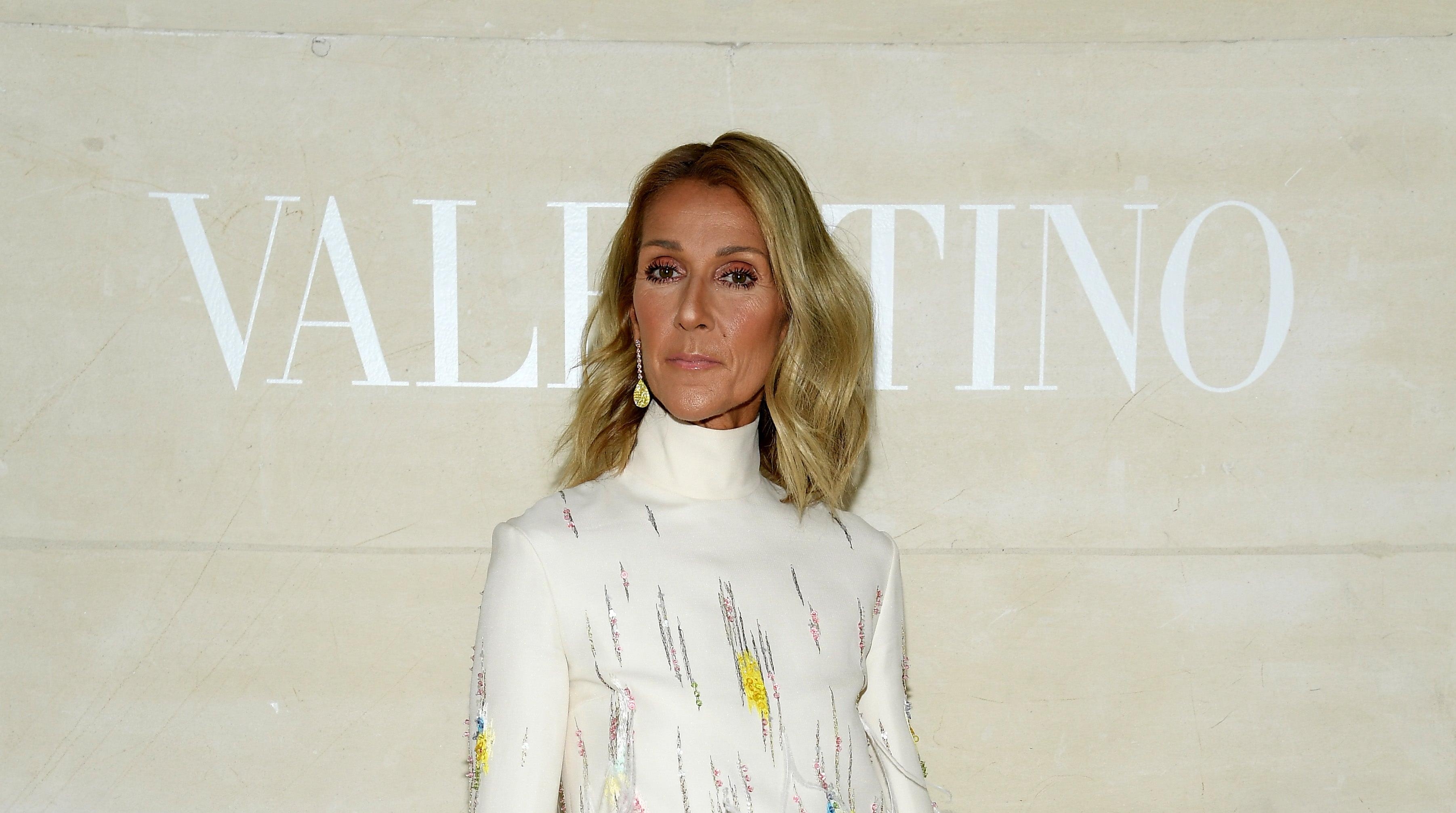 An official Celine Dion documentary is in the works, as opposed to that very unofficial biopic
