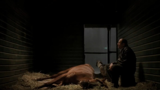 The horse that played The Sopranos' Pie-O-My is happily retired on a New York farm