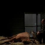 The horse that played The Sopranos' Pie-O-My is happily retired on a New York farm