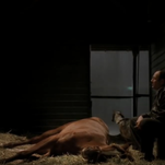 The horse that played The Sopranos' Pie-O-My is happily retired on a New York farm