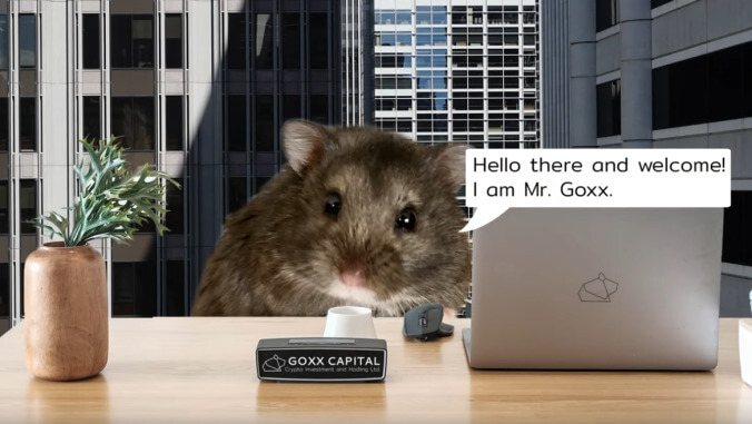 A German hamster is currently trading cryptocurrency online, just in case you were wondering