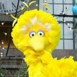 Big Bird has now gotten the COVID-19 vaccine