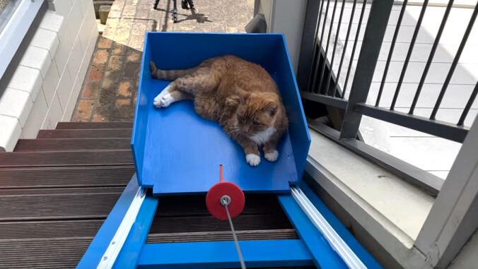 Guy builds staircase elevator to help his elderly cat enjoy outdoor sunbathing