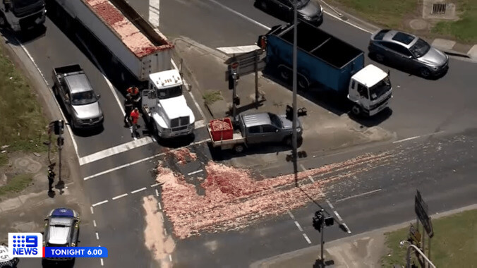 Traffic in Australia is just offal after semi-truck sloshes animal guts across highway