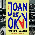 A woman stumbles through grief in the wry, affecting Joan Is Okay