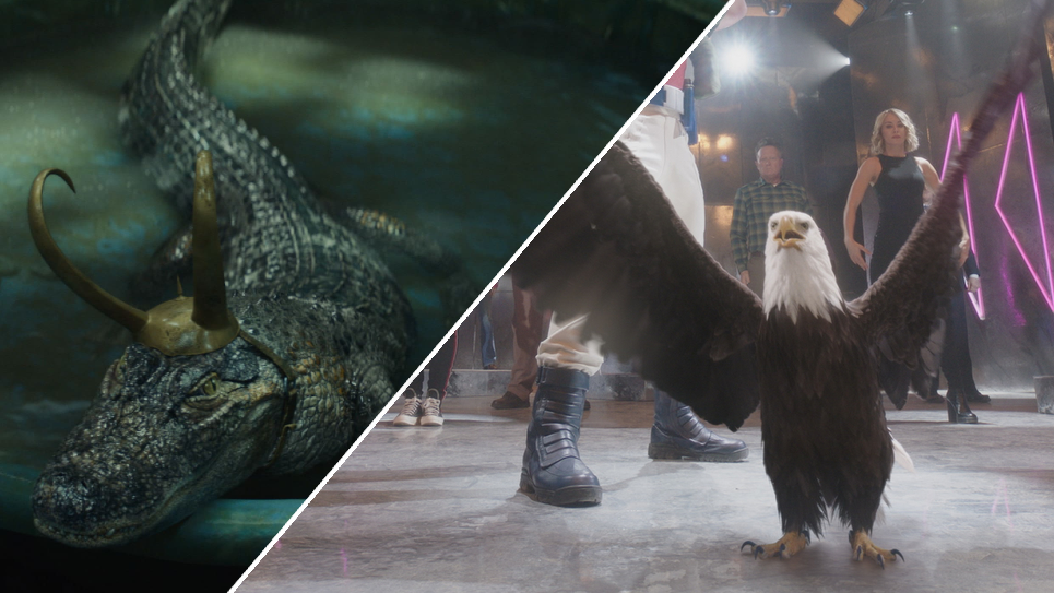 Who would win in a fight: Alligator Loki or Peacemaker’s Eagly?