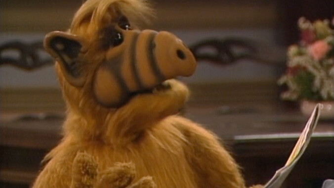 Cats beware: Shout! Factory is gearing up for a full-on ALF revival