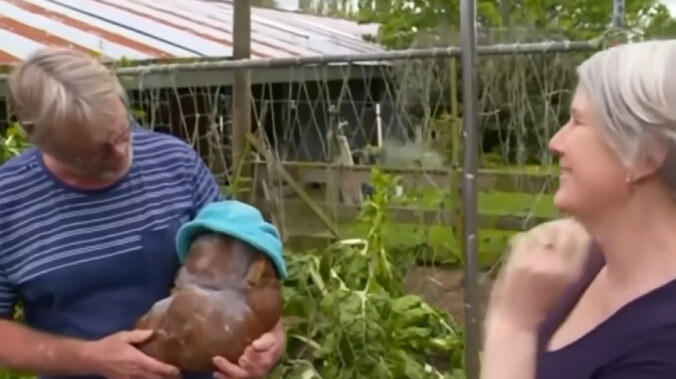 Sadly, that huge potato named Doug isn't actually a potato after all