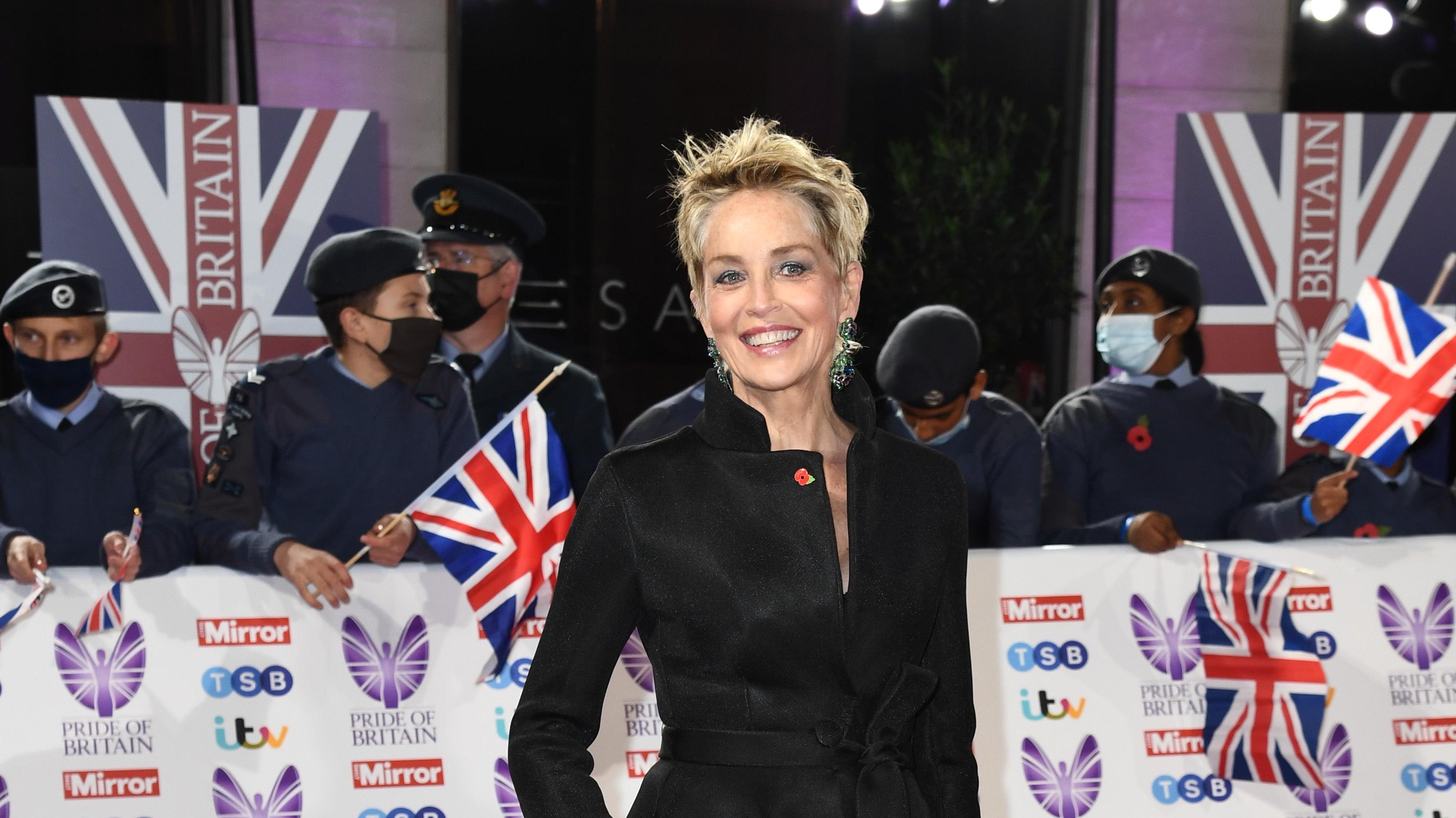 Sharon Stone is playing the villain in Blue Beetle, and one with a curious comics connection at that