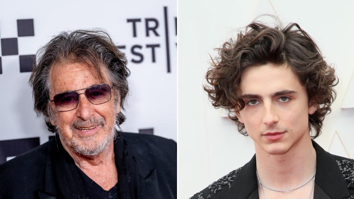 Al Pacino thinks Timothée Chalamet should play his character in Heat 2