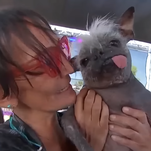 Meet 2022's World's Ugliest Dog winner, an off-brand gremlin named Mr. Happy Face