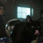 Light a black flame for Thackery, Hocus Pocus 2 may have recast a talking cat?!