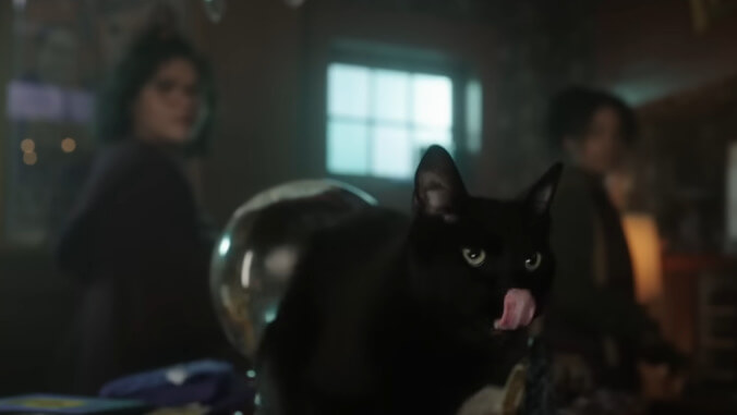 Light a black flame for Thackery, Hocus Pocus 2 may have recast a talking cat?!