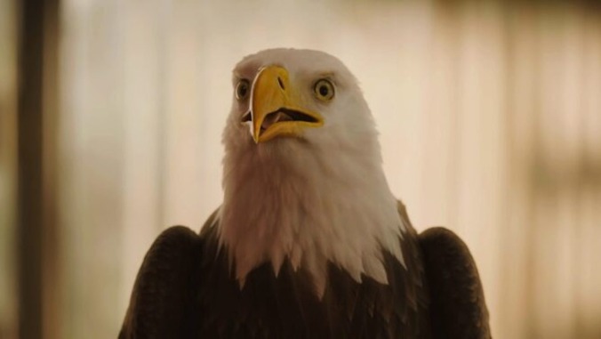 Eagly The Eagle