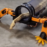 YouTuber decides to fix snakes, constructs robotic legs for them to wear