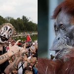 Insane Clown Posse's Violent J would like to make friends with a primate
