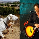 Kevin Bacon treats some goats to an acoustic performance of Beyoncé's 
