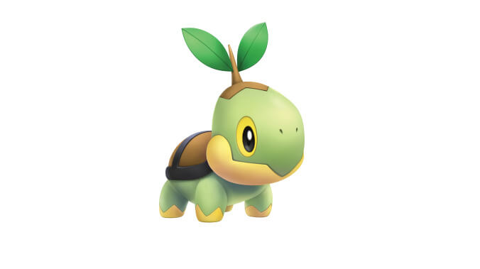 Turtwig (no sunglasses required)