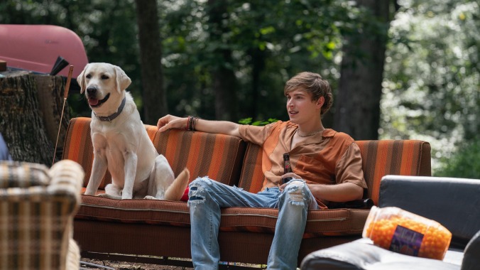Netflix to take the bold step of releasing Dog Gone, a dog movie where (spoiler alert!) the dog actually survives