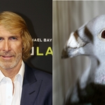 Michael Bay facing charges of Italian bird murder