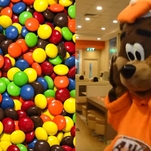 Fox News is now mad about the A&W bear parodying the M&M mascots