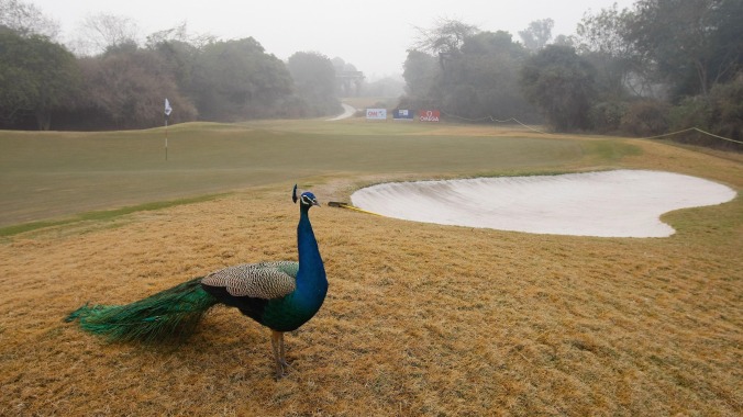 Your free Peacock ride is over, Comcast Xfinity subscribers