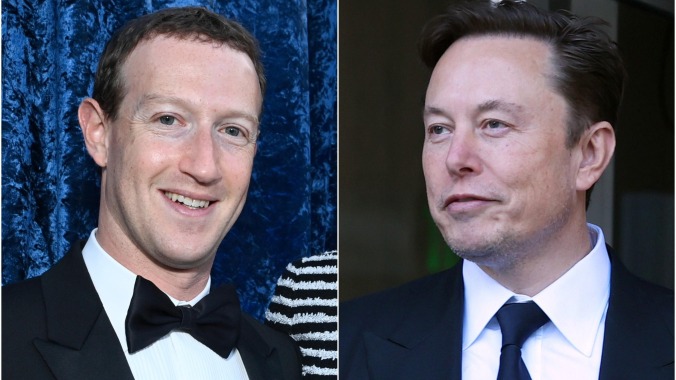 Mark Zuckerberg and Elon Musk might fight for some reason