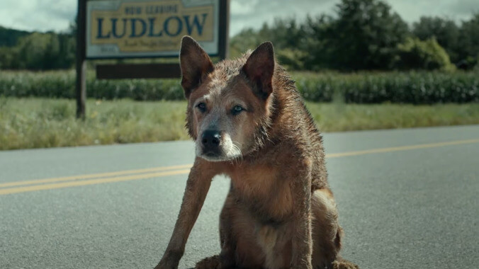 Dead is bedduh in the trailer for Paramount Plus’ Pet Sematary prequel