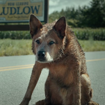 Dead is bedduh in the trailer for Paramount Plus’ Pet Sematary prequel