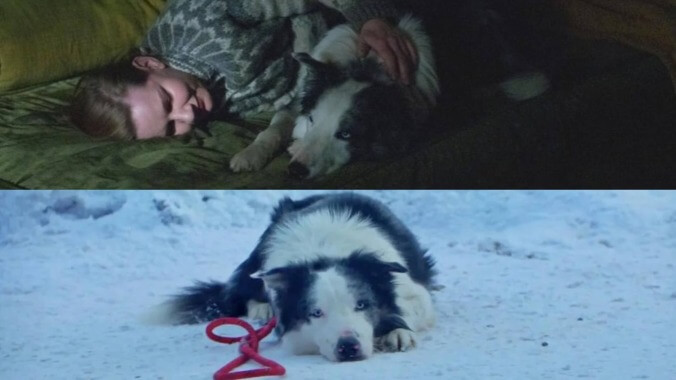Messi, the dog from Anatomy Of A Fall, is a celebrity to celebrities
