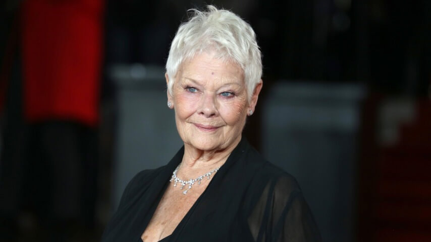 Judi Dench suggests she might be done taking film roles