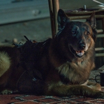 Norman Reedus, other Walking Dead stars pay tribute to good dog who played 