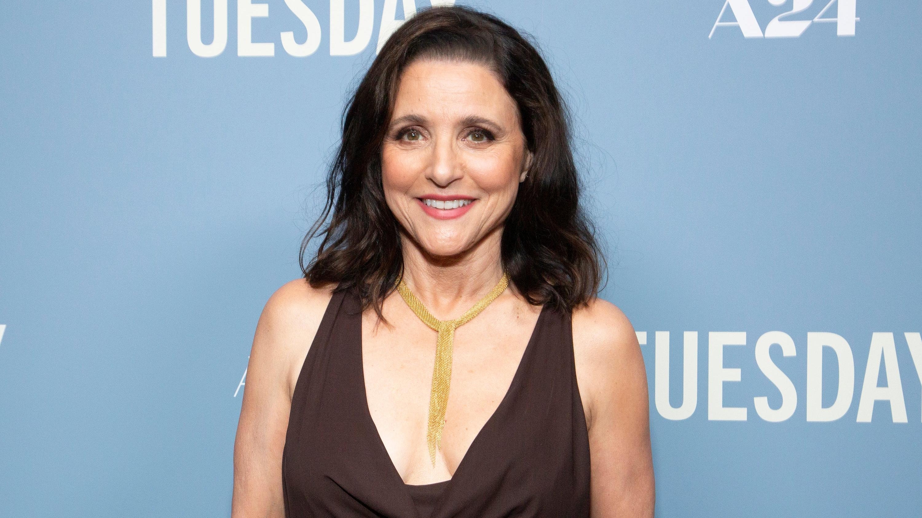 Julia Louis-Dreyfus finds railing against political correctness to be a “red flag”