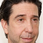 Wistful David Schwimmer floats theory Men In Black could have made him a movie star