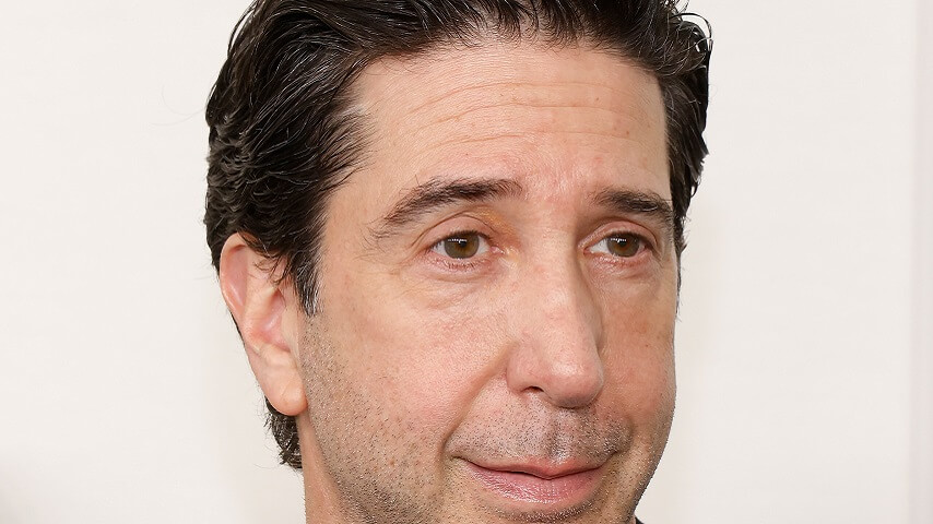 渴望的大衛·施溫默（David Schwimmer）浮子理論黑色的男人本可以使他成為電影明星