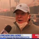 Steve Guttenberg would like you to leave your keys in your car amid L.A. fires